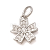 304 Stainless Steel Micro Pave Clear Cubic Zirconia Charms LS-CU-CBAB6EC-24P-1