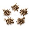 Tibetan Style Alloy Pendants TIBEP-A113357-AB-FF-1