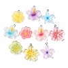 Transparent Resin Pendants RE-A001-01-1