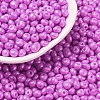 6/0 Glass Seed Beads SEED-L011-08A-26-1