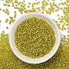 TOHO 11/0 Round Beads X-SEED-TR11-1811-2