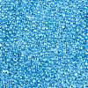 6/0 Baking Paint Transparent Fringe Glass Seed Beads X1-SEED-N006-06L-3