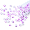 6/0 Opaque Glass Seed Beads SEED-YW0002-13C-3