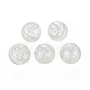 Transparent Handmade Blown Glass Globe Beads GLAA-T012-34B-1