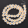 Natural Freshwater Shell Beads Strands with Enamel SHEL-T018-30-3