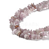 Natural Rose Quartz Beads Strands G-P497-03A-02-3