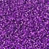 MIYUKI Delica Beads SEED-X0054-DB1345-3