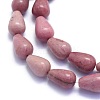 Natural Rhodonite Beads Strands G-K310-G02-3