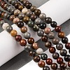 Natural Picture Jasper Beads Strands G-H037-A01-01-2