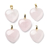 Natural & Synthetic Mixed Gemstone Pendants G-G956-B-G-2