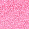 Baking Paint Glass Seed Beads SEED-L011-09A-27-4
