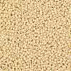 MIYUKI Round Rocailles Beads SEED-G007-RR0493-2