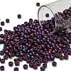 TOHO 6/0 Round Beads SEED-TR06-0704-1