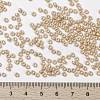 MIYUKI Round Rocailles Beads X-SEED-G008-RR0593-4