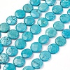 Natural Magnesite Beads Strands TURQ-P027-85-20MM-1