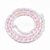Natural Freshwater Shell Beads Strands X-SHEL-N003-25-B06-2