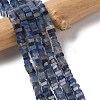Natural Blue Aventurine Beads Strands G-A280-C08-01-2