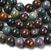 Natural Indian Agate Beads Strands G-G515-12mm-05-5
