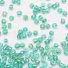 6/0 Round Glass Seed Beads SEED-J011-F6-178-3