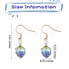 3D Resin Flower Dangle Earrings EJEW-SW00019-01-2