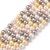Shell Pearl Bead Strands BSHE-L017-17-3