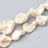Shell Pearl Beads Strands BSHE-Q031-15H-1