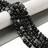 Dyed & Heated Natural Fire Crackle Agate Beads Strands G-P539-B01-10-2