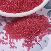 MIYUKI Delica Beads SEED-J020-DB0780-1
