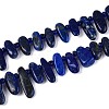Natural Lapis Lazuli Beads Strands G-Z091-A23-4