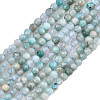 Natural Russia Amazonite Beads Strands G-S300-13-2mm-1