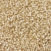 MIYUKI Delica Beads SEED-JP0008-DB0621-3