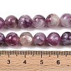 Natural Lepidolite/Purple Mica Stone Beads Strands G-G160-A01-01A-4