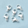 304 Stainless Steel Lobster Claw Clasps STAS-R120-02C-S-2