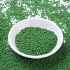 MIYUKI Round Rocailles Beads SEED-X0054-RR0411-2