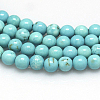 Natural Magnesite Beads Strands TURQ-G103-8mm-01-2