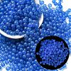 Luminous Glow in the Dark Transparent Glass Round Beads GLAA-F124-B06-1