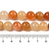 Natural Golden Silk Jade Beads Strands G-N344-01D-01-5