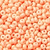 Baking Paint Glass Seed Beads SEED-B001-02A-16-3