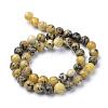 Natural Yellow Turquoise(Jasper) Beads Strands G-R345-8mm-44-2