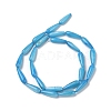Natural Freshwater Shell Beads Strands SHEL-A004-03C-2