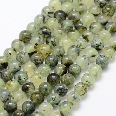 Natural Prehnite Beads Strands G-P322-48-8mm-1
