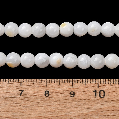 Natural Freshwater Shell Beads Strands SH-CBA2978-07D-04-1