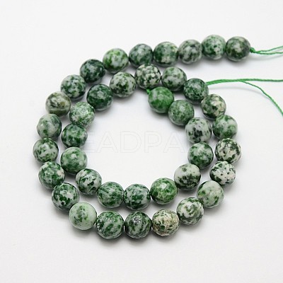 Natural Green Spot Jasper Beads Strands G-L148-14mm-01-1