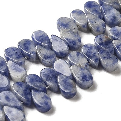 Natural Blue Spot Jasper Beads Strands G-B064-B59-1