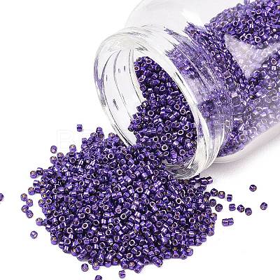 MIYUKI Delica Beads X-SEED-J020-DB2510-1