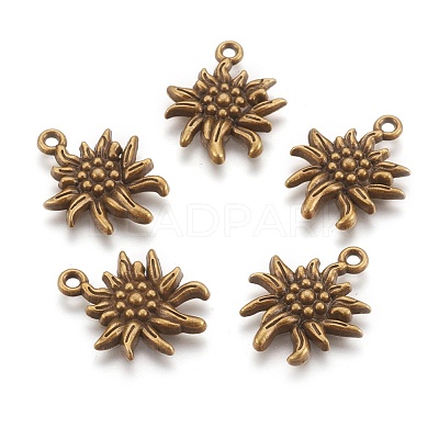 Tibetan Style Alloy Pendants TIBEP-A113357-AB-FF-1