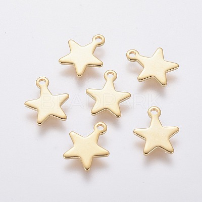 304 Stainless Steel Charms LS-X-STAS-L234-069G-1