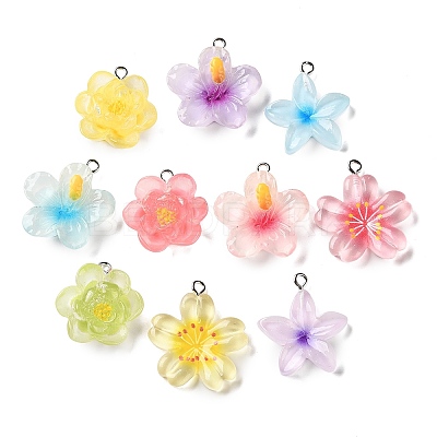 Transparent Resin Pendants RE-A001-01-1