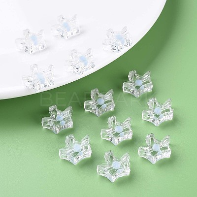 Transparent Acrylic Beads LS-MACR-S373-105-B08-1