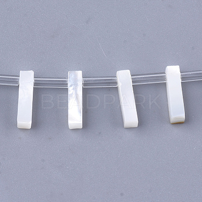 Natural Sea Shell Beads SHEL-T012-60I-1